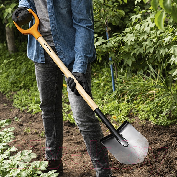 Изображение товара Лопата Plantic Дача 11008-01