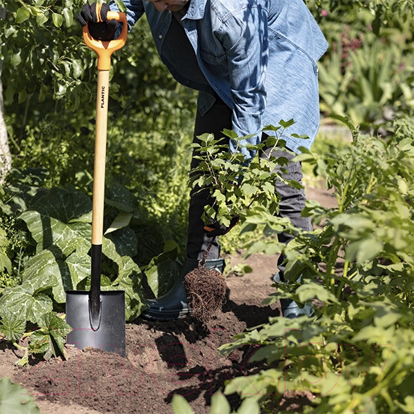 Изображение товара Лопата Plantic Дача 11008-01