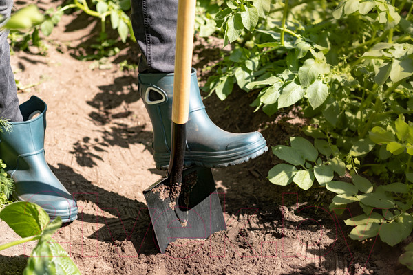 Изображение товара Лопата Plantic Дача 11008-01