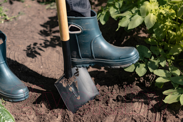 Изображение товара Лопата Plantic Дача 11008-01