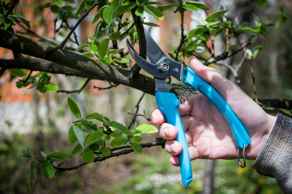 Изображение товара Секатор механический Plantic Light L61 / 25261-01