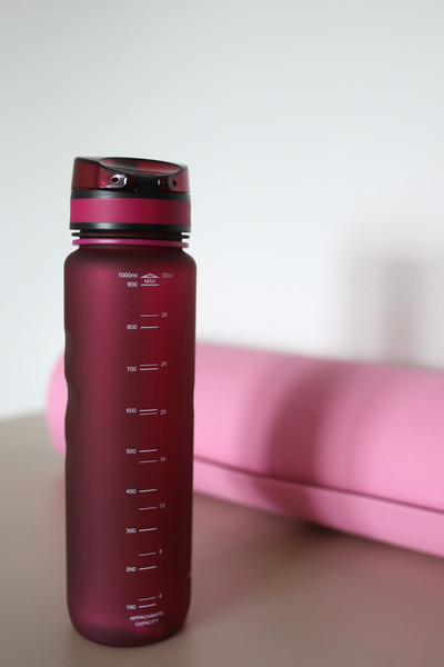 Изображение товара Бутылка для воды Elan Gallery Style Matte / 280144 (бургундия)