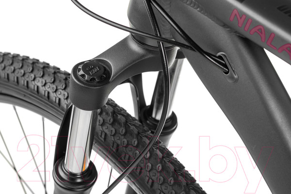 Изображение товара Велосипед Nialanti Stellar MD 29 2024 (19.5, серый матовый)