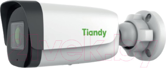 Изображение товара IP-камера Tiandy TC-C32UN I8/A/E/Y/2.8-12mm/V4.2