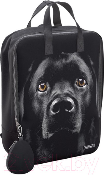 Изображение товара Рюкзак Erich Krause StreetLine 16L Black Dog / 60343