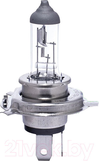 Изображение товара Комплект автомобильных ламп Rekzit 90046 (2шт)