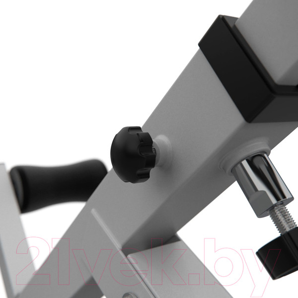 Изображение товара Гиперэкстензия DFC Homegym SJ1006W