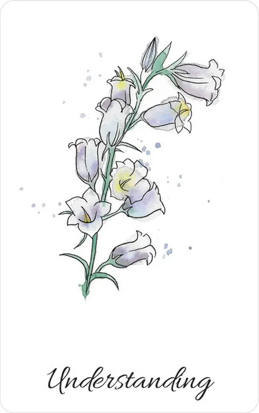 Изображение товара Гадальные карты U.S. Games Systems When My Soul Whispered Oracle Deck / WMS44