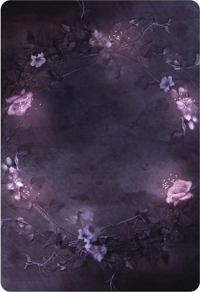Изображение товара Гадальные карты U.S. Games Systems Dark Light Oracle Cards / DL40