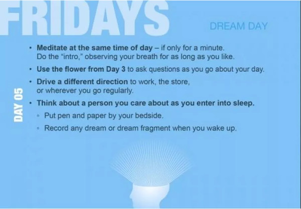 Изображение товара Гадальные карты Schiffer Publishing Build Your Psychic Skills - The 90 day Plan Book / SP138