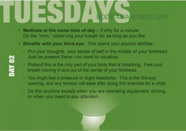 Изображение товара Гадальные карты Schiffer Publishing Build Your Psychic Skills - The 90 day Plan Book / SP138