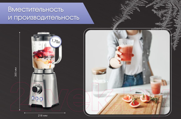 Изображение товара Блендер стационарный Zigmund & Shtain BS-444 D