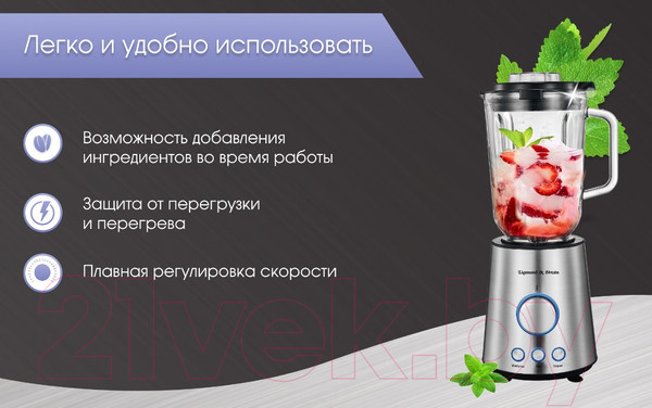 Изображение товара Блендер стационарный Zigmund & Shtain BS-445 D