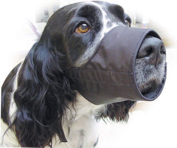 Изображение товара Намордник для собак Show Tech №2 / 92STE004