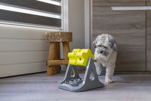 Изображение товара Игрушка для собак Beeztees Rodar головоломка / 619046