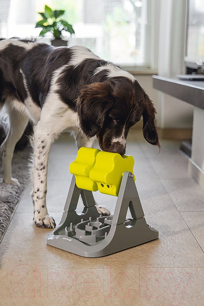 Изображение товара Игрушка для собак Beeztees Rodar головоломка / 619046