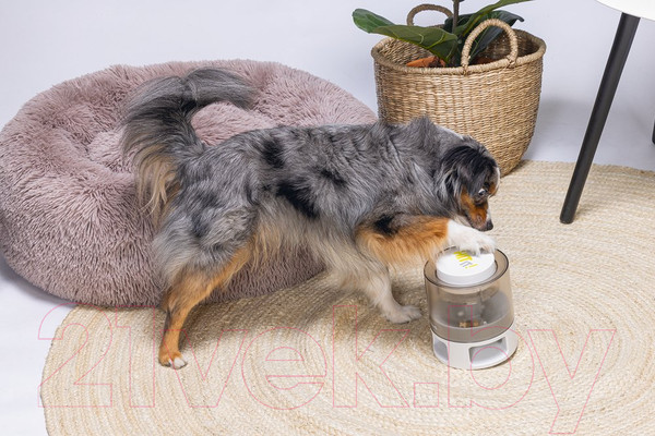 Изображение товара Игрушка для собак Beeztees Delicious головоломка / 619047