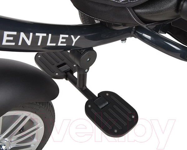 Изображение товара Трехколесный велосипед с ручкой BENTLEY BN2O