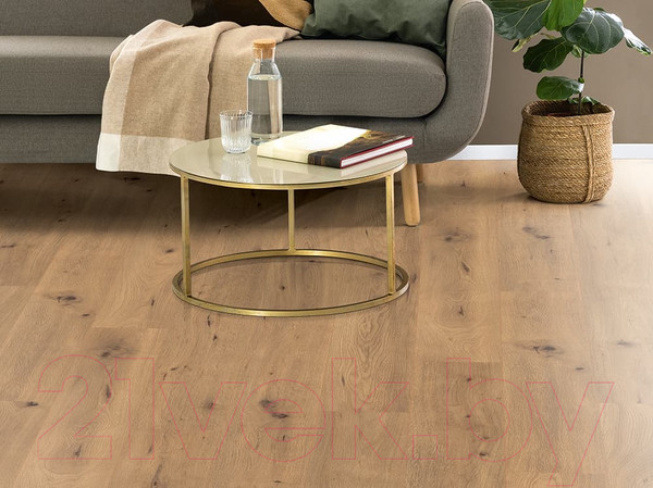 Изображение товара Ламинат Egger Pro Classic Дикий дуб натуральный EPL182 (33 класс)