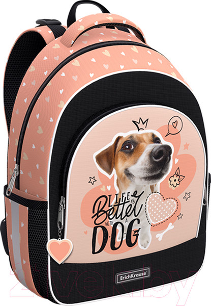 Изображение товара Школьный рюкзак Erich Krause ErgoLine 15L Jack Russell / 60096