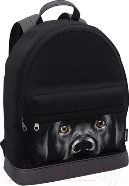 Изображение товара Рюкзак Erich Krause StreetLine 17L Black Dog / 60349