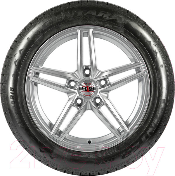Изображение товара Зимняя шина Centara Winter RX626 235/55R19 101T