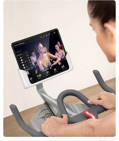 Изображение товара Велотренажер Yesoul Smart Spinning Bike V1 (черный)