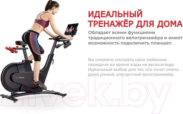Изображение товара Велотренажер Yesoul Smart Spinning Bike V1 (черный)