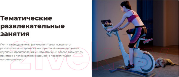 Изображение товара Велотренажер Yesoul Smart Spinning Bike V1 (черный)