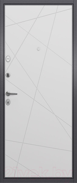 Изображение товара Входная дверь Torex X5 PP Самурай (86x205, левая)