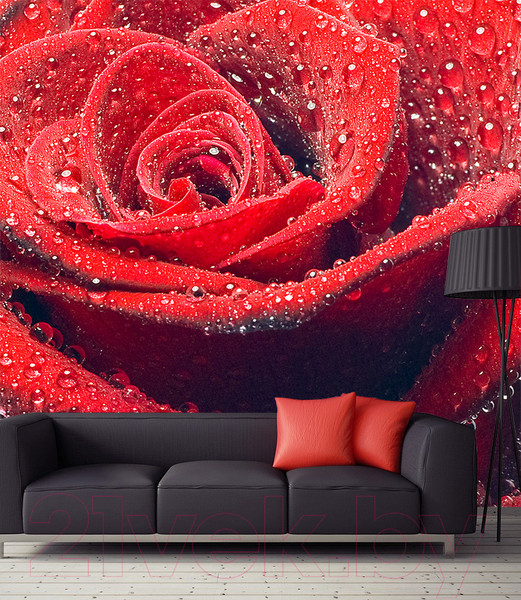 Изображение товара Фотообои листовые Citydecor Красная роза (300x254)