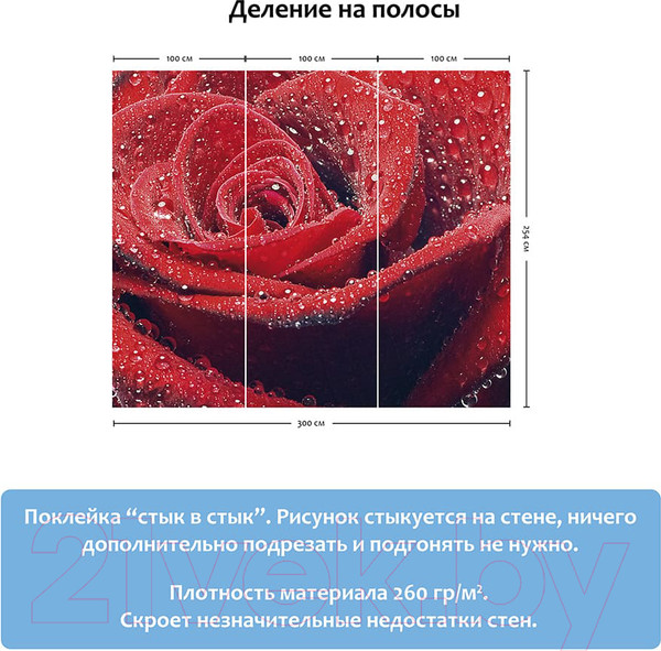 Изображение товара Фотообои листовые Citydecor Красная роза (300x254)