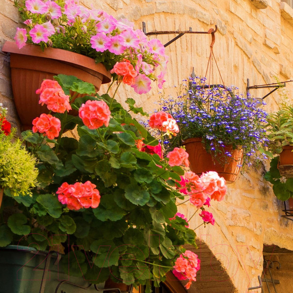 Изображение товара Фотообои листовые Citydecor Улочка 4 (300x254)