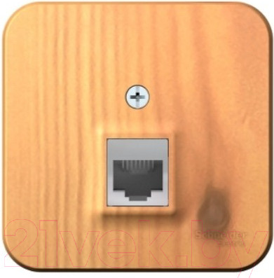 Изображение товара Розетка Systeme (Schneider) Electric Blanca BLNIA045005