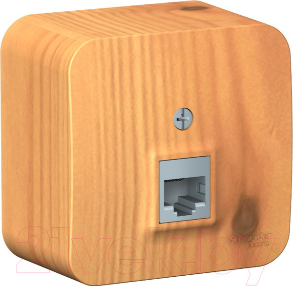 Изображение товара Розетка Systeme (Schneider) Electric Blanca BLNIA045005