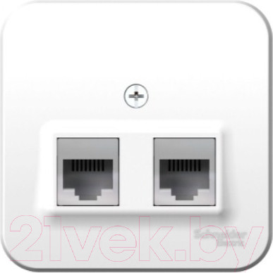 Изображение товара Розетка Systeme (Schneider) Electric Blanca BLNIA045111