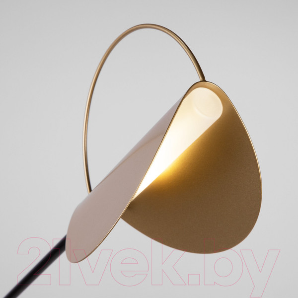 Изображение товара Торшер Евросвет Grazia 01143/1 (черный/золото)