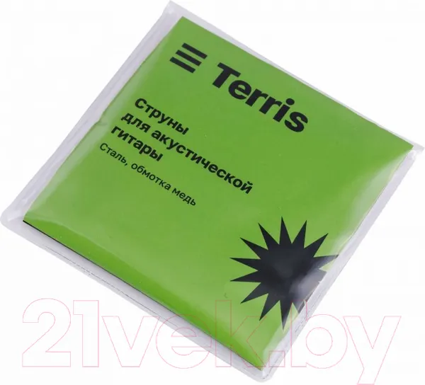 Изображение товара Акустическая гитара Terris TD-045 NA Starter Pack (с аксессуарами)