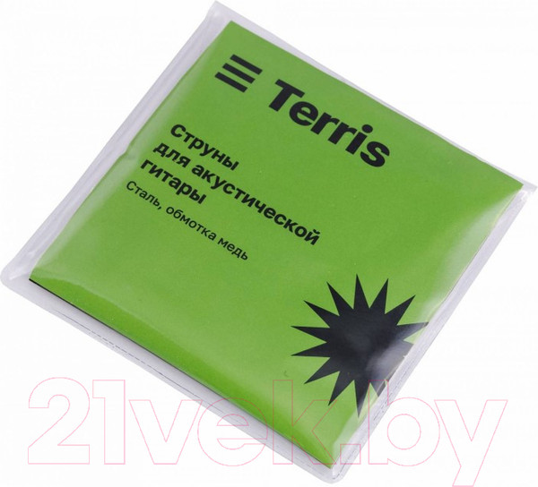 Изображение товара Акустическая гитара Terris TD-045 SB Starter Pack (с аксессуарами)