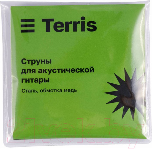Изображение товара Акустическая гитара Terris TD-045 SB Starter Pack (с аксессуарами)