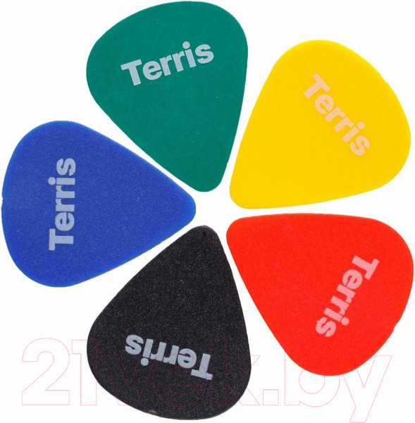 Изображение товара Акустическая гитара Terris TD-045 SB Starter Pack (с аксессуарами)