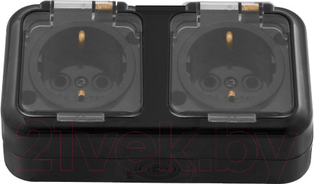 Изображение товара Розетка Bylectrica Пралеска аква РА16-303 (черный)