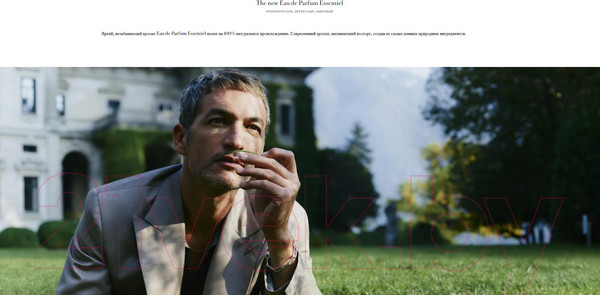 Изображение товара Парфюмерная вода Brioni Essential (60мл)