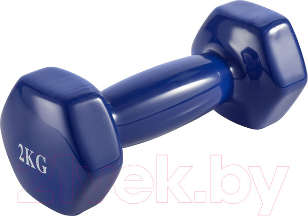 Изображение товара Гантель VictoryFit VF-DV020 (2кг)