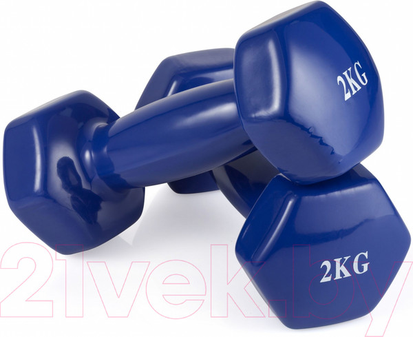 Изображение товара Гантель VictoryFit VF-DV020 (2кг)