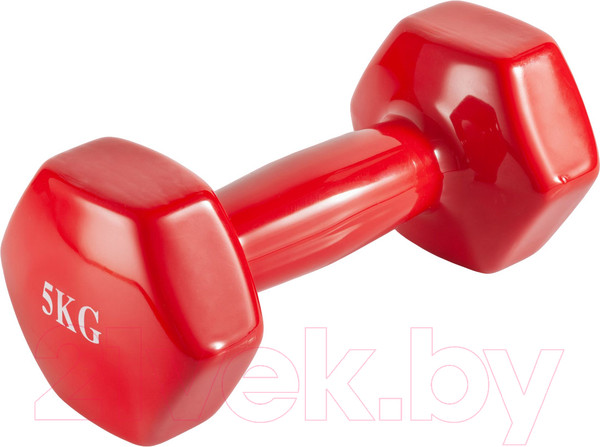 Изображение товара Гантель VictoryFit VF-DV050 (5кг)