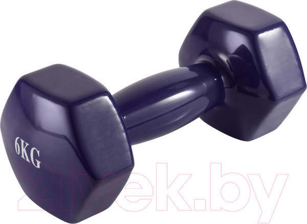 Изображение товара Гантель VictoryFit VF-DV060 (6кг)