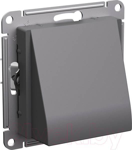 Изображение товара Вывод кабеля Systeme (Schneider) Electric AtlasDesign ATN001499