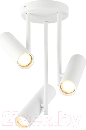 Изображение товара Спот Imex IL.0005.4200-3 WH