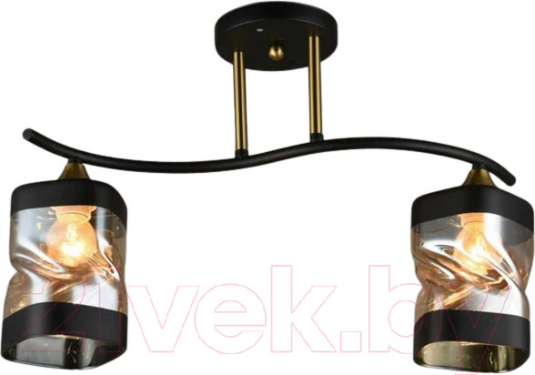 Изображение товара Потолочный светильник Mirastyle SX-N-3630/2